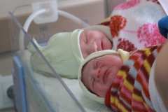 新出生的双胞胎代孕婴儿