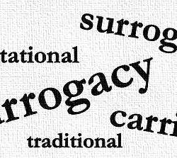 gestational and traditional surrogacy georgia