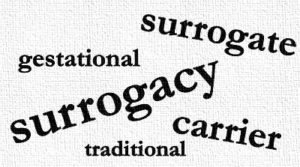 gestational and traditional surrogacy georgia