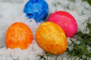 Egg freezing agency _ Easter egg pic in snow