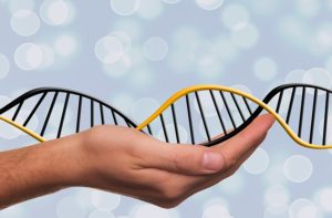 Three parent IVF baby: DNA engineering