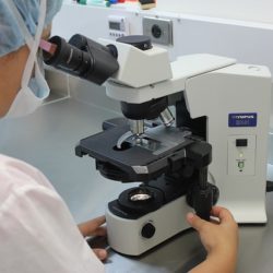 IVF lab in India