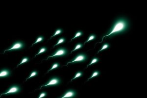 male fertility - sperms race