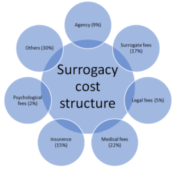 surrogacy-cost-sructure