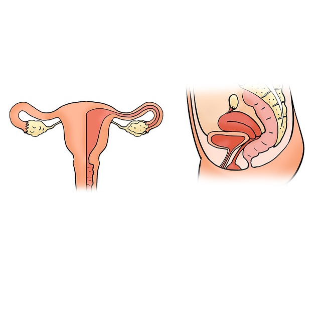 uterus problems and infertility