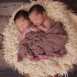 Twins in Surrogacy
