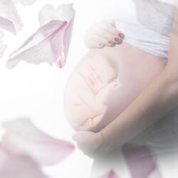 Surrogacy related curiosities pc pregn