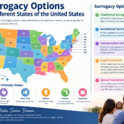 surrogacy in USA states